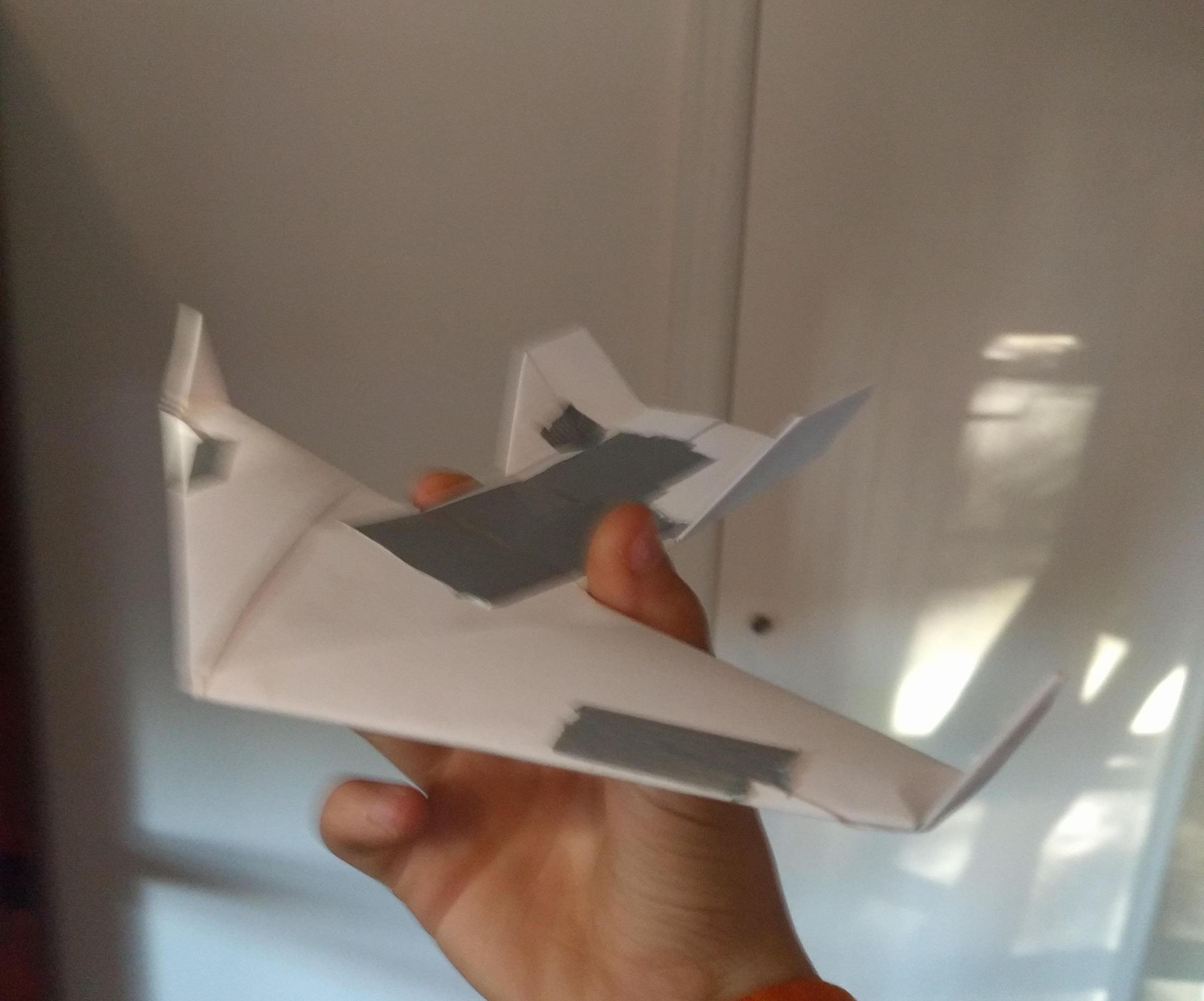 Omniwing Sparrow