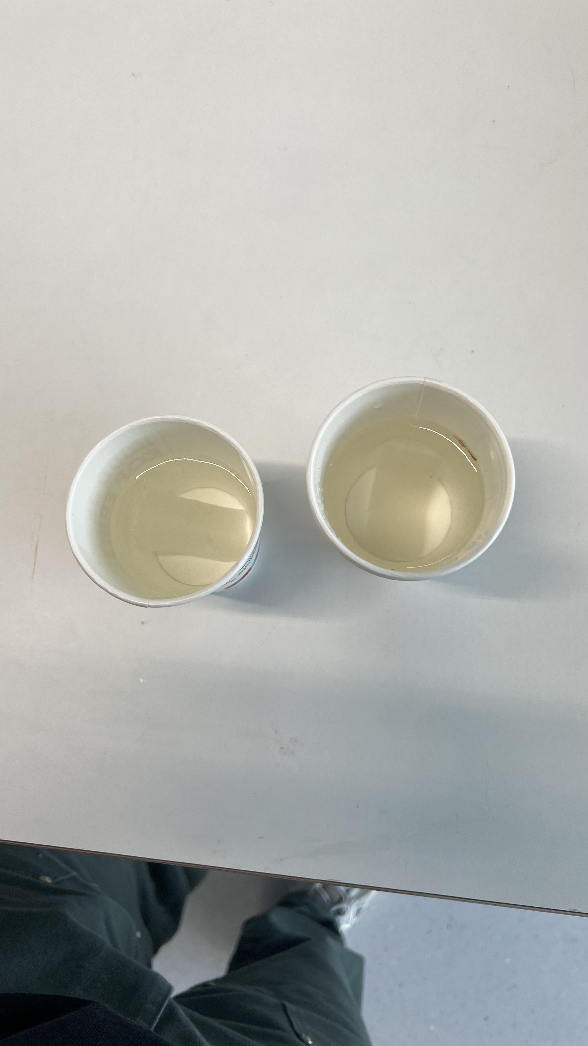 Test Plan for Soaking Bio Rubber in Water Instructables