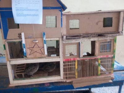 Building the Quail House