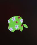 Macbook Air Apple Decoration