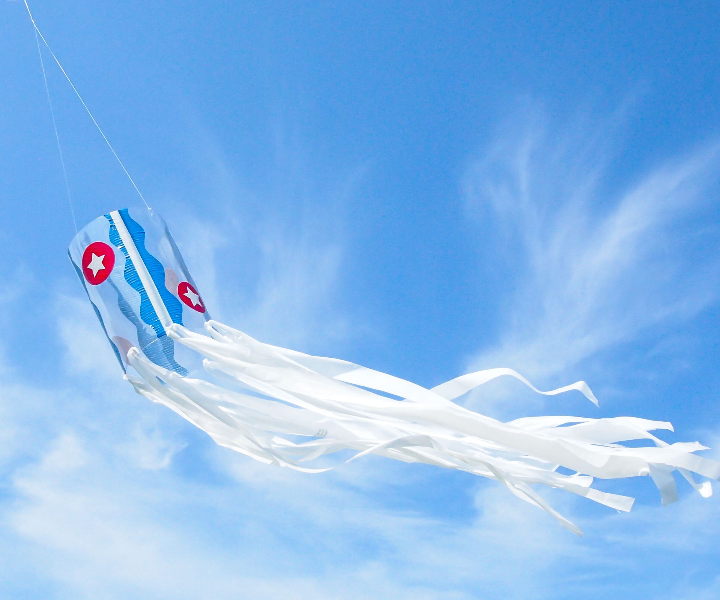 Recycled Plastic Bottle Windsock