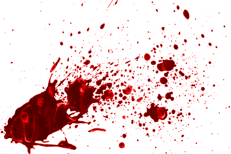 Step 6 Blood Patterns