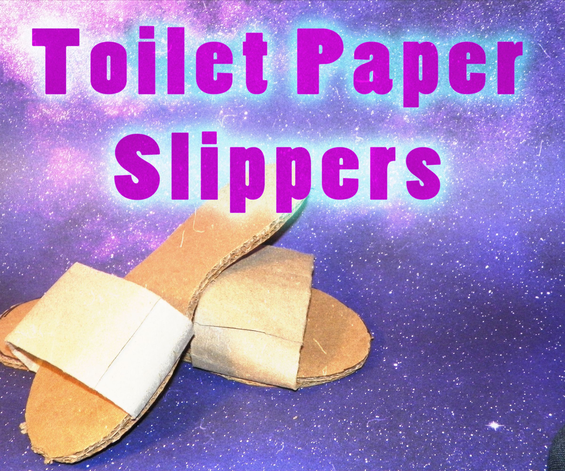 Toilet Paper Slippers
