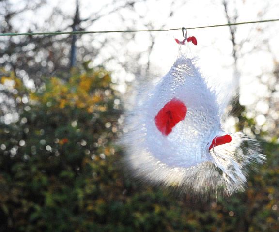 Do You Want to Shoot Images of Bursting Balloons in Day Light ?