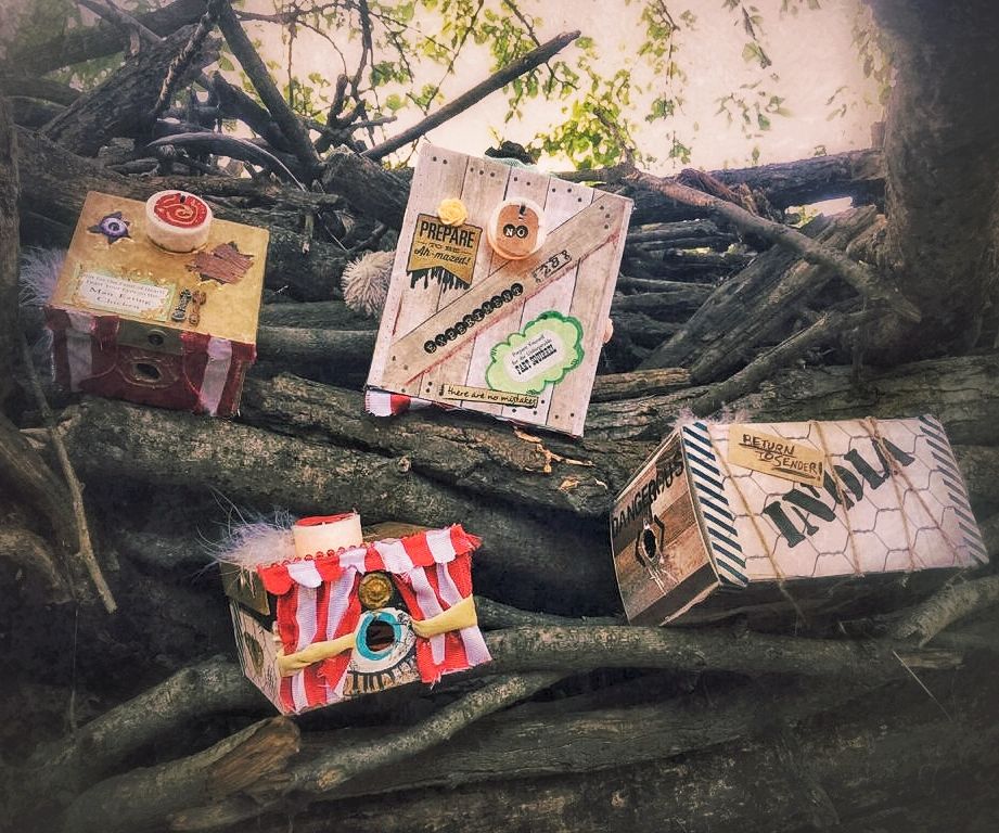 Curiosity Carnival Crates