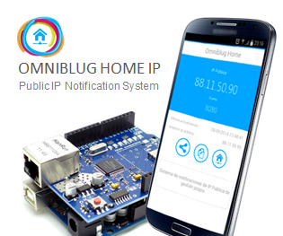 Know the Public IP From Your Home