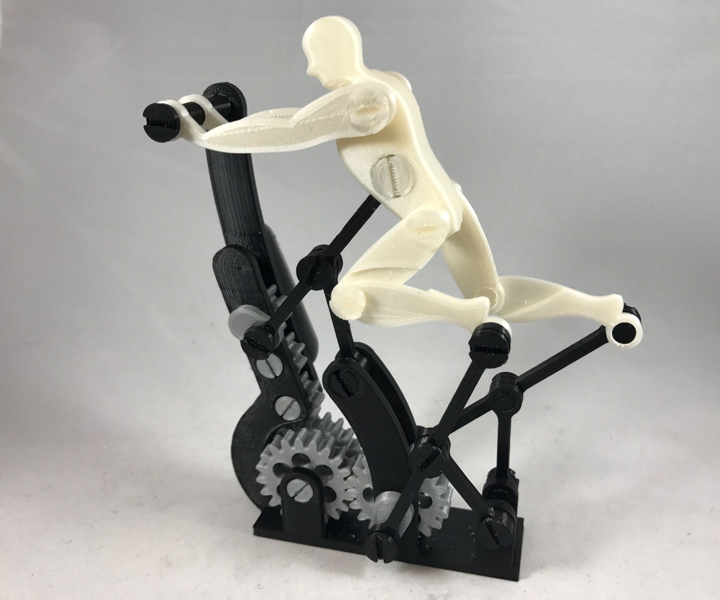 Perseverance, Petite