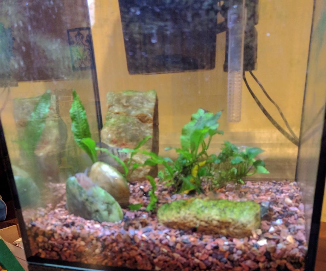 "Under the Fish Tank" Hiding Place