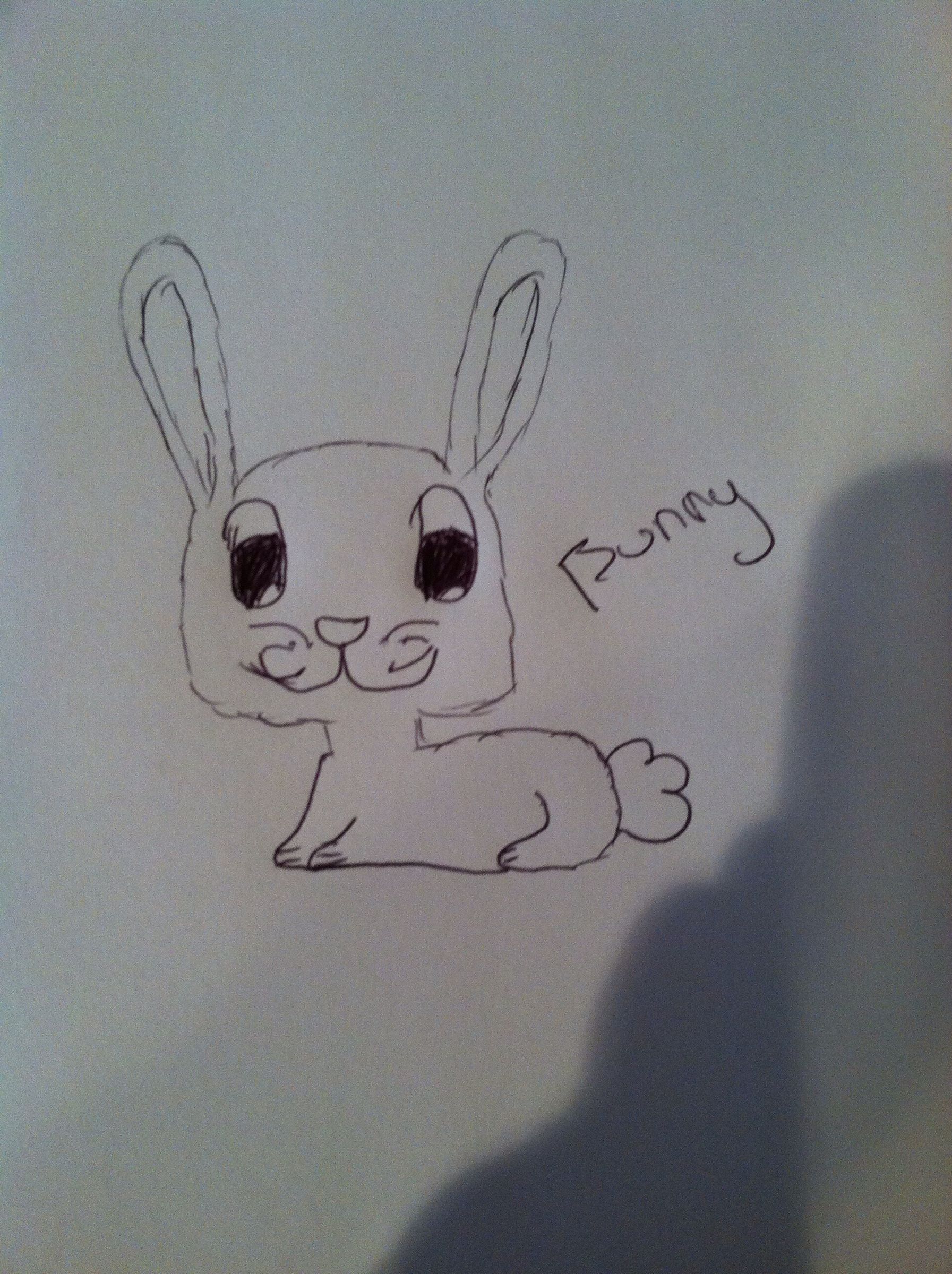 How to Draw Cartoon Animals!