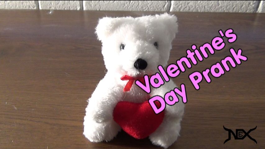 Valentine's Day: Teddy Bear Booby Trap