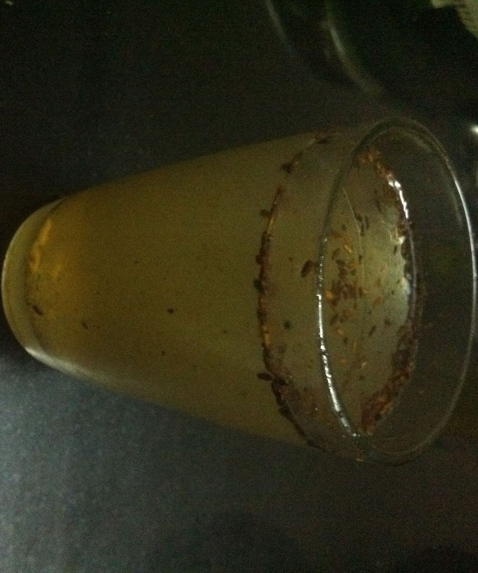 Indian Healthy Lemonade ( Sweet-salty)