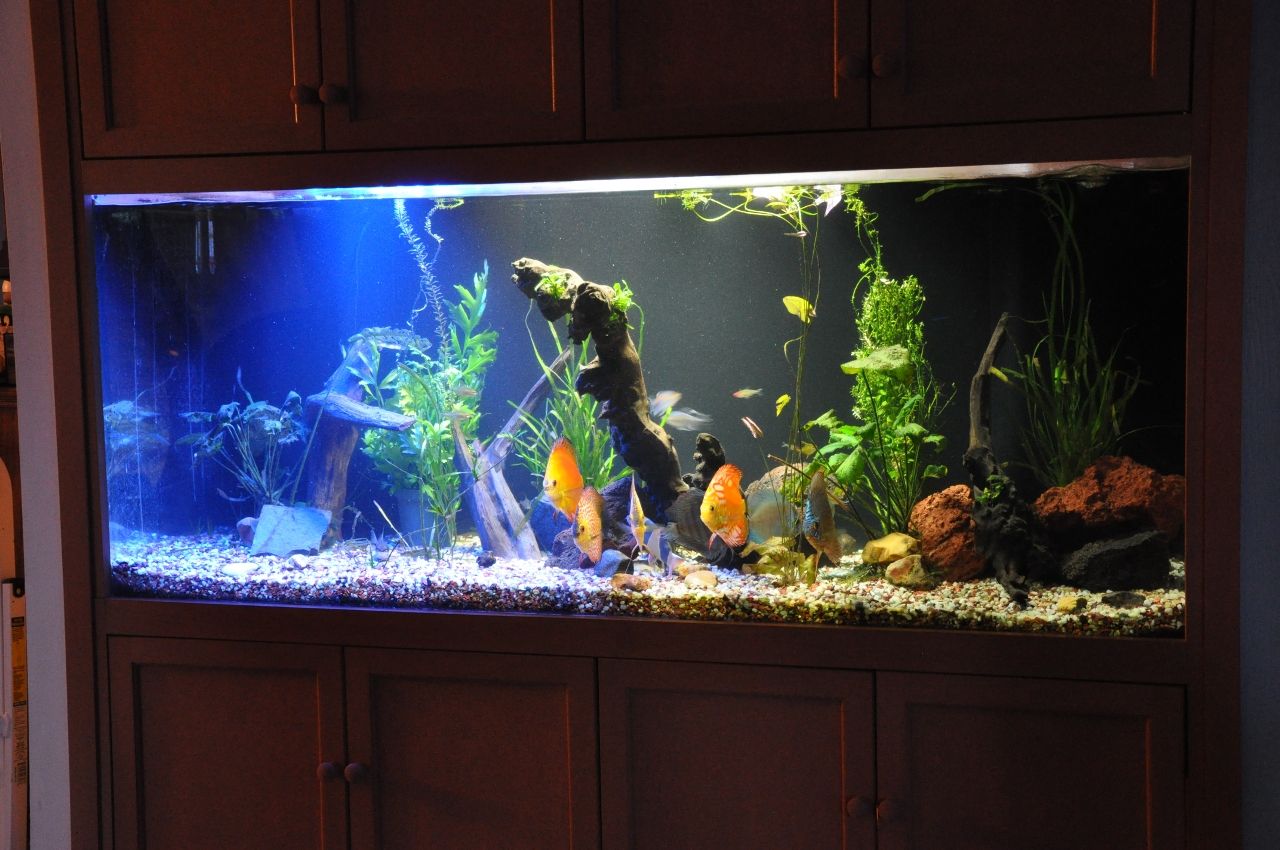 Yet Another - High Brightness LED (HBLED) Aquarium Lamp