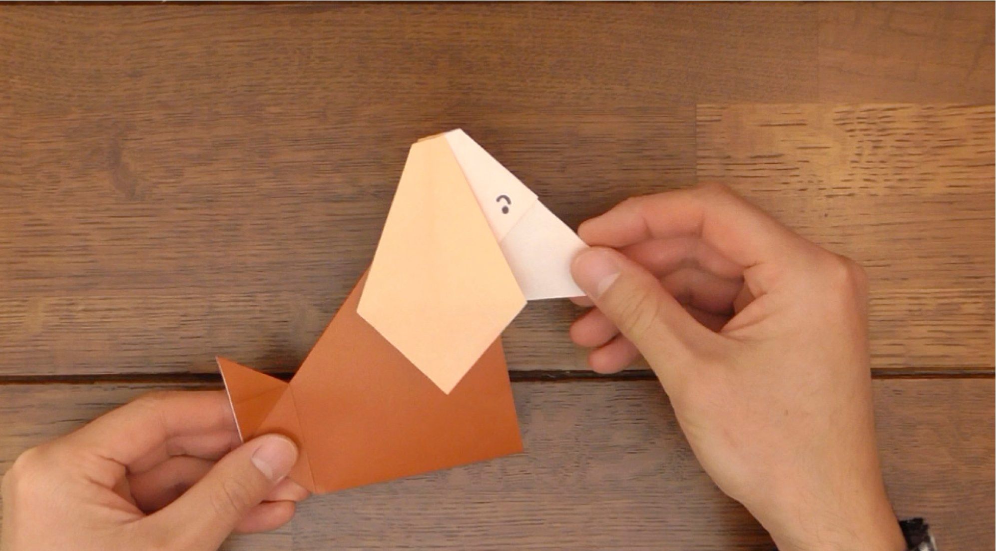 How to Make Head Nod in Dogs! 15 Steps (with Pictures) Instructables