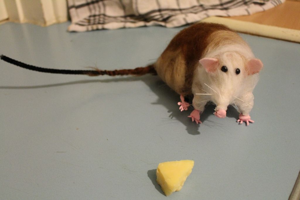 Make a Big Fat Hairy Rat (or Other Rodent). : 8 Steps (with Pictures ...