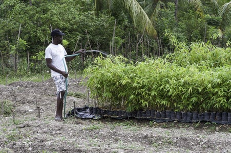 The Materials, and Who Is Responsible for Them