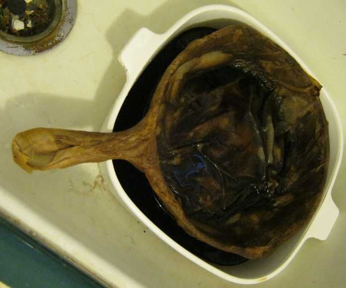 Stripping and Seasoning Cast Iron