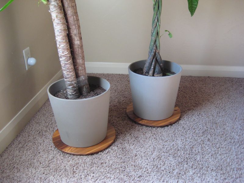 Low Plant Stand : 11 Steps (with Pictures) - Instructables