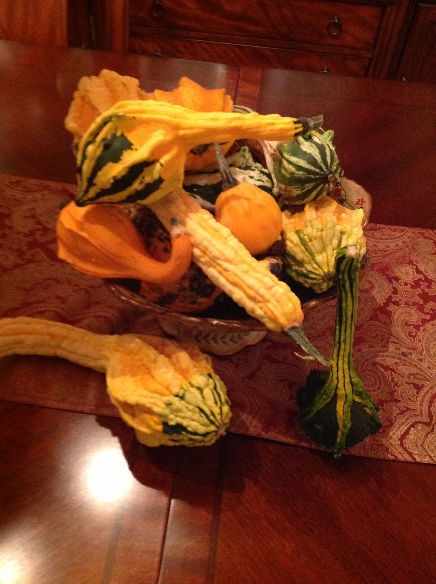 Growing Gourds for Fall at No Cost