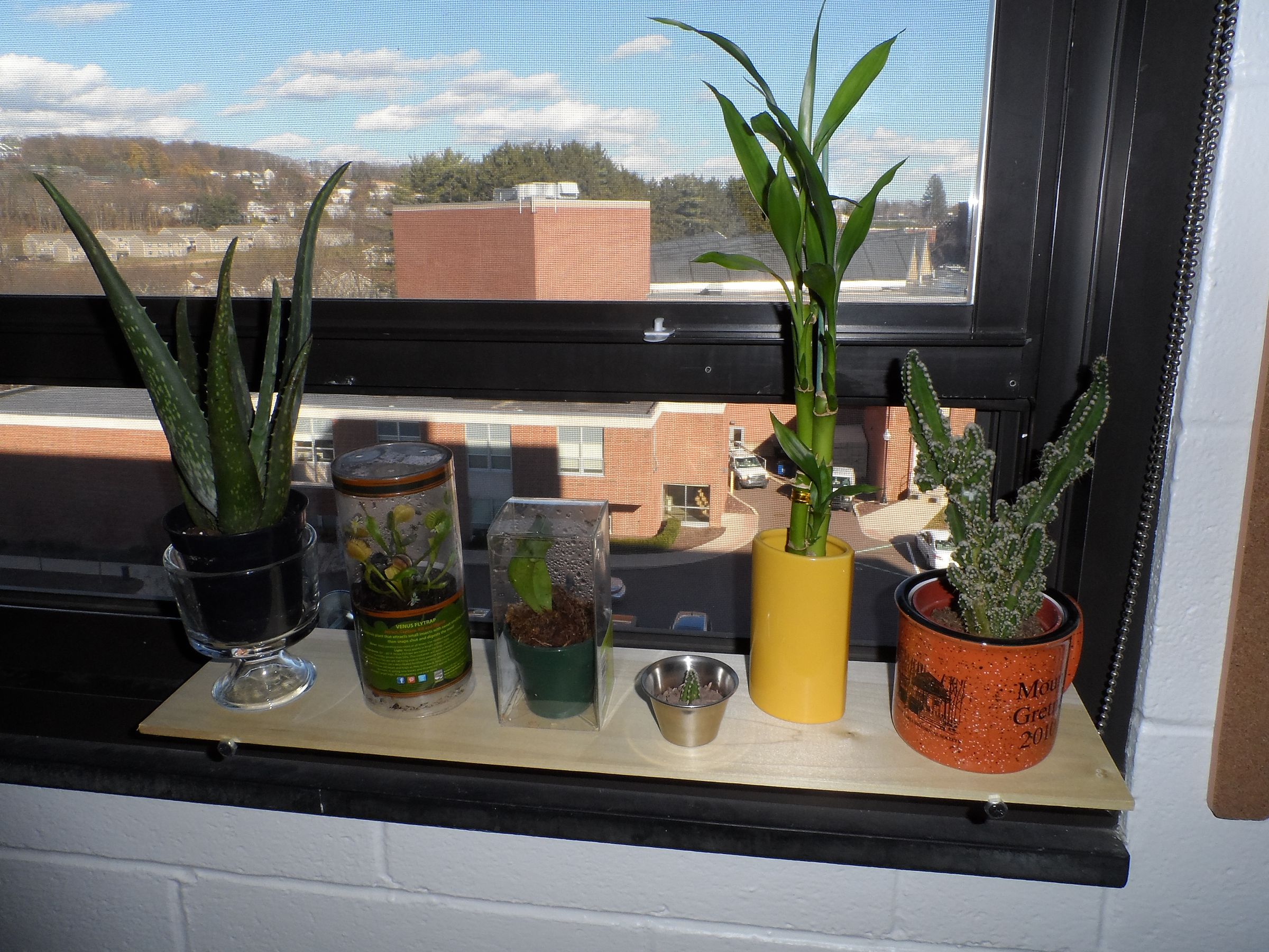 Simple Dorm Room Plant Shelf