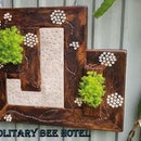 Solitary Bee Hotel