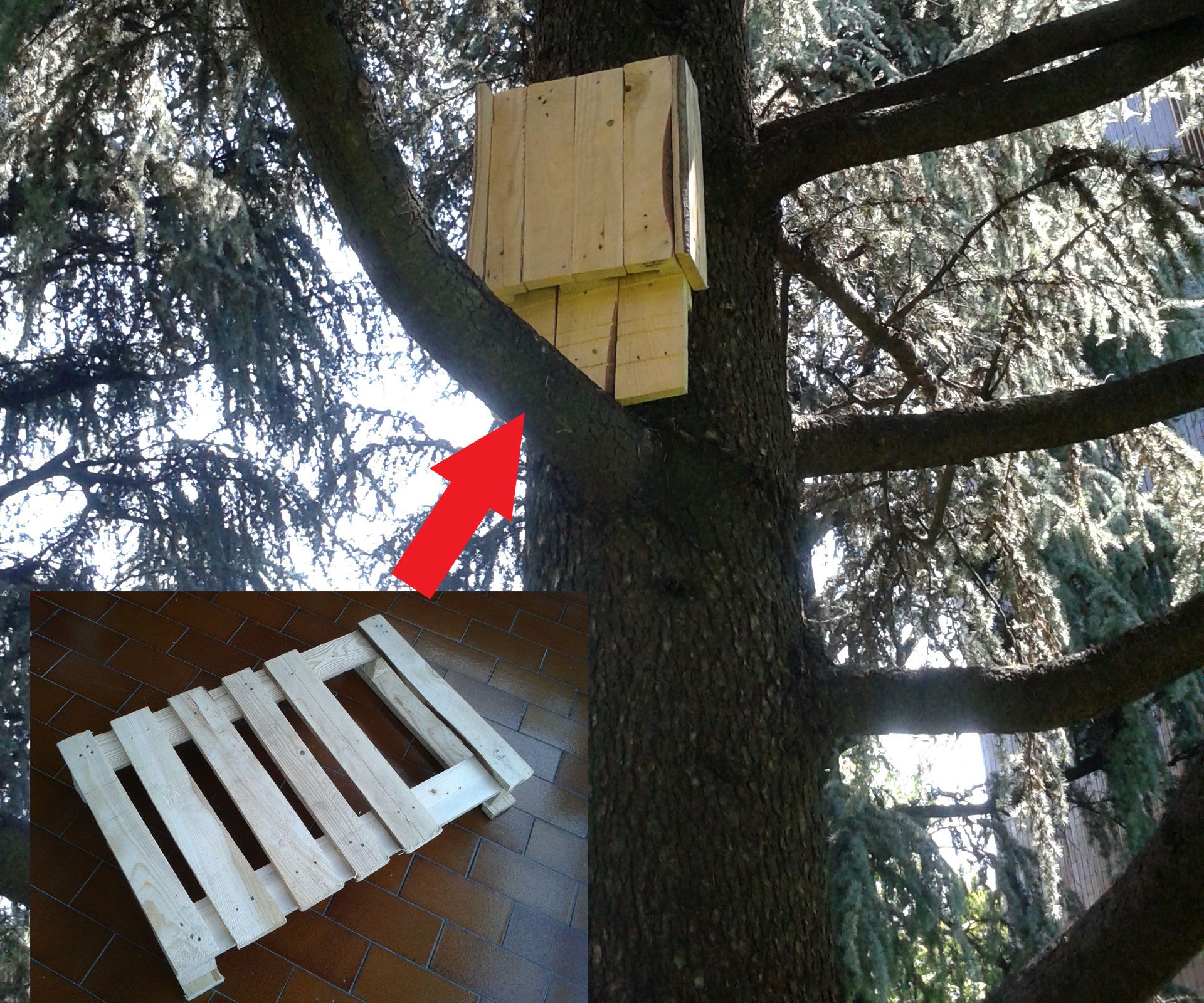 From Pallet To... Batbox!