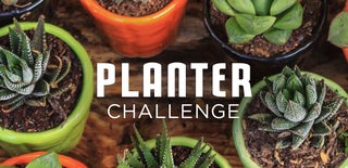 Planter Challenge