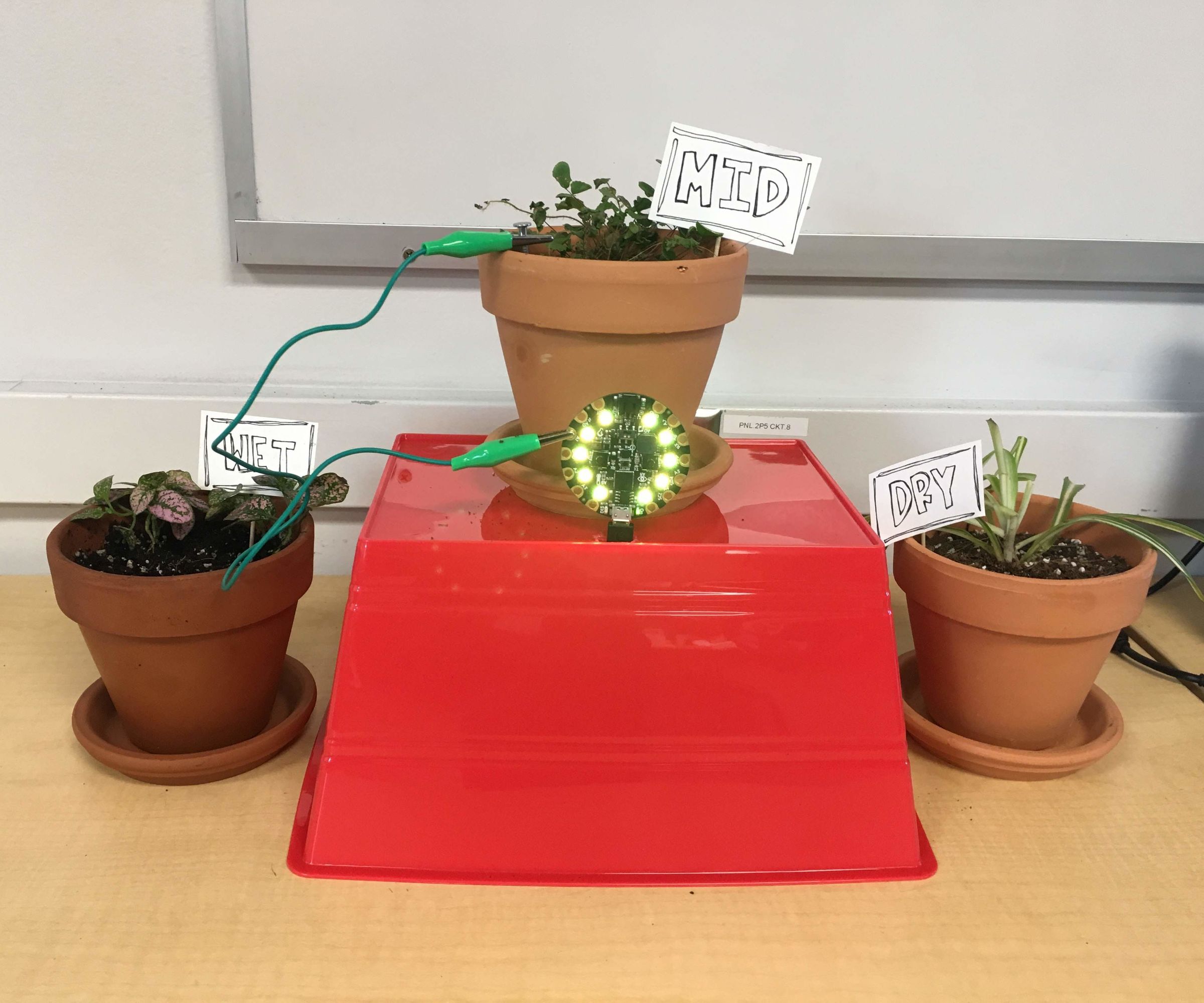 Soil Moisture Detecting Pot for House Plants