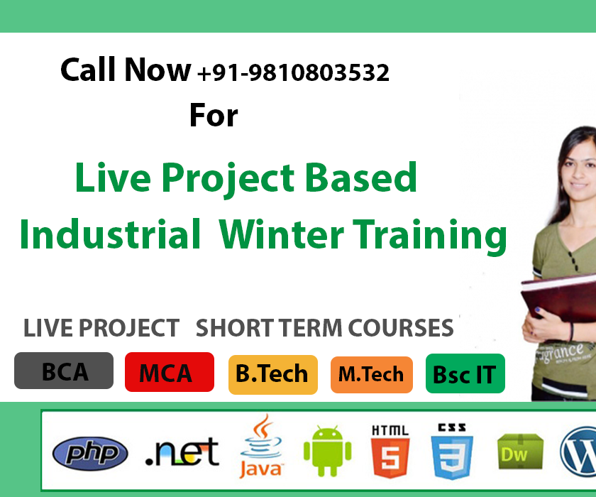 IT Winter Training Institute in Noida Delhi/NCR