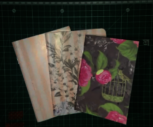 Passport Notebook Inserts