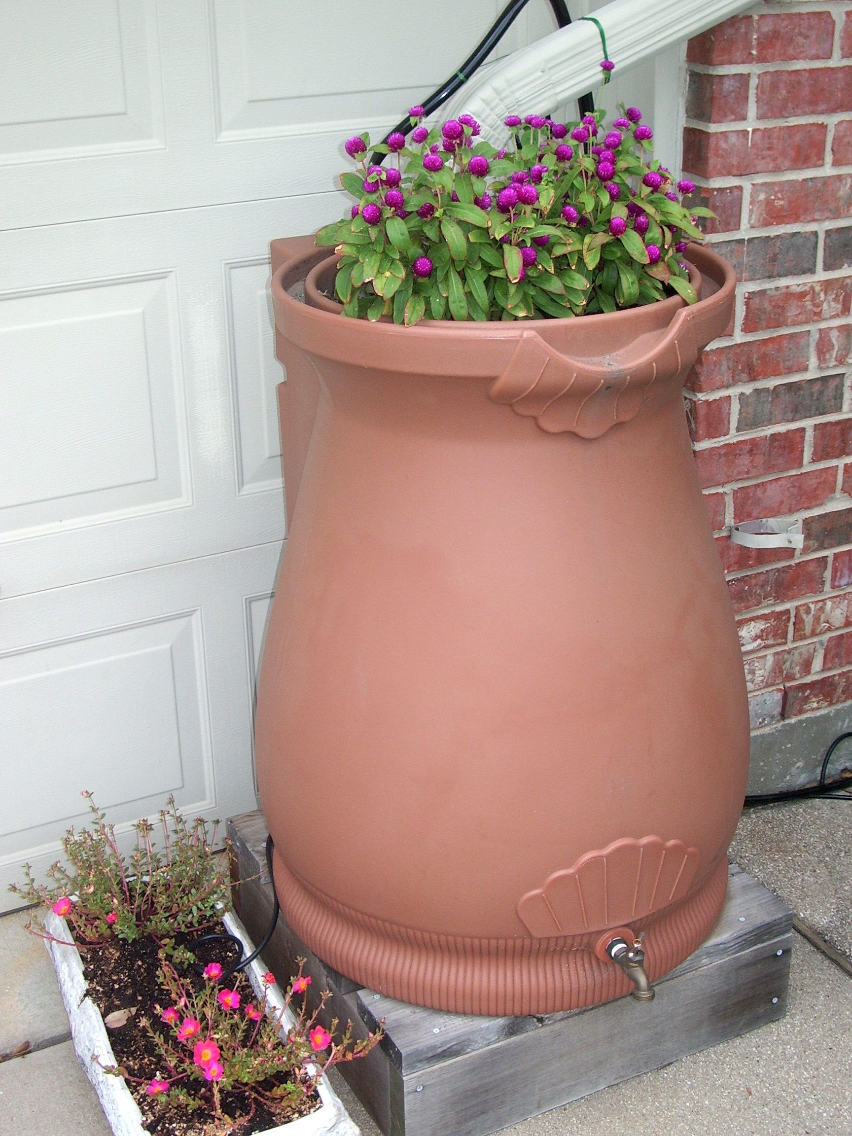 Automatic Watering From a Water Barrel