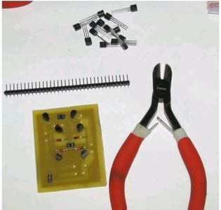 The Completed Circuit.   