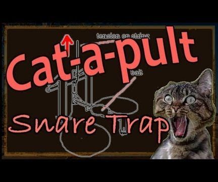 Pressure Activated Spring Snare Trap