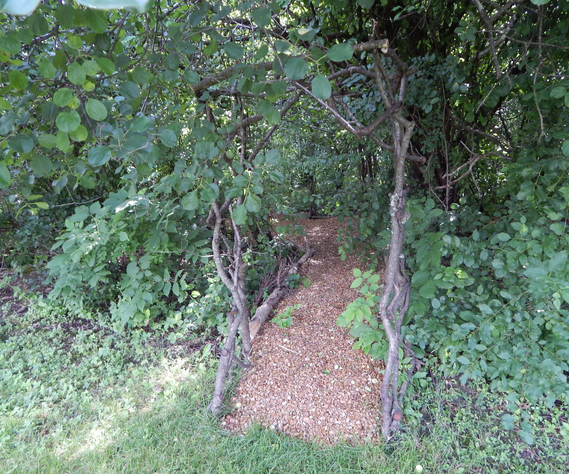 Create a Backyard Woodland Paradise With Recycled and Reused Materials