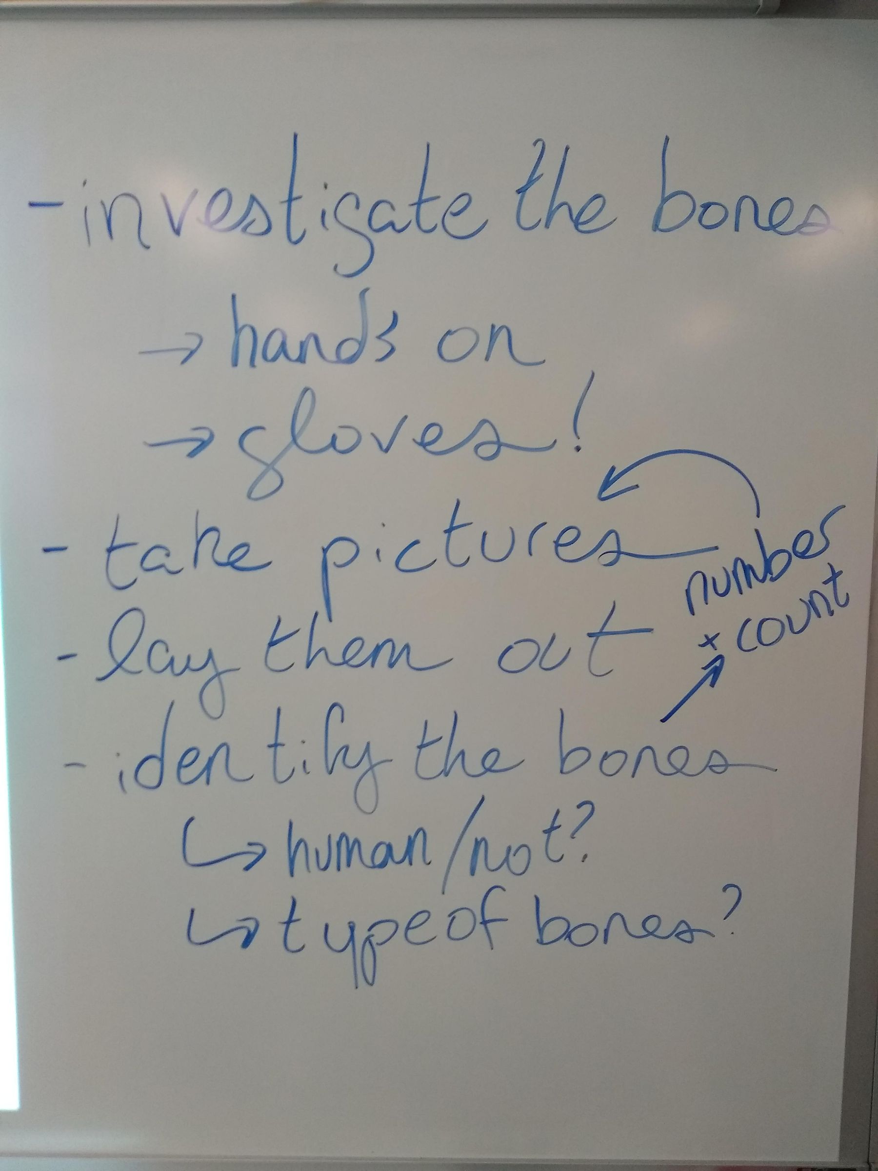 Forensic Anthropology With 3D Printed Bones 8 Steps (with Pictures
