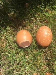 Carved Eggs