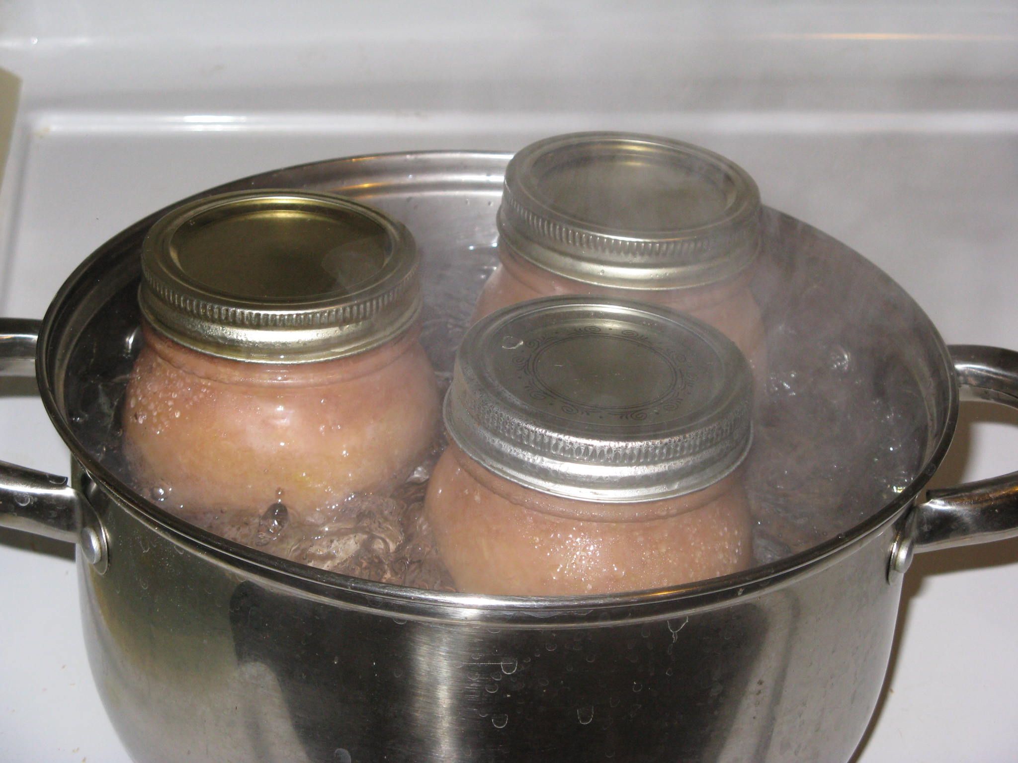 Sugar Free Japanese Knotweed Jam 5 Steps (with Pictures) Instructables