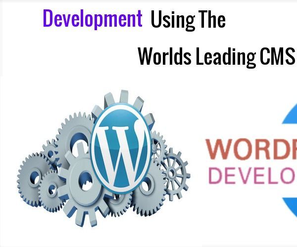 Wordpress Website Development in Bangalore 