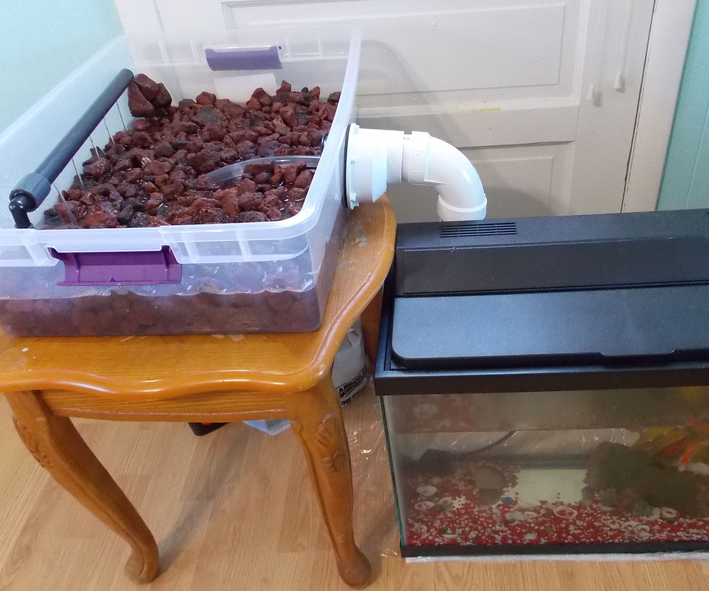 Aquaponics with Existing Aquarium