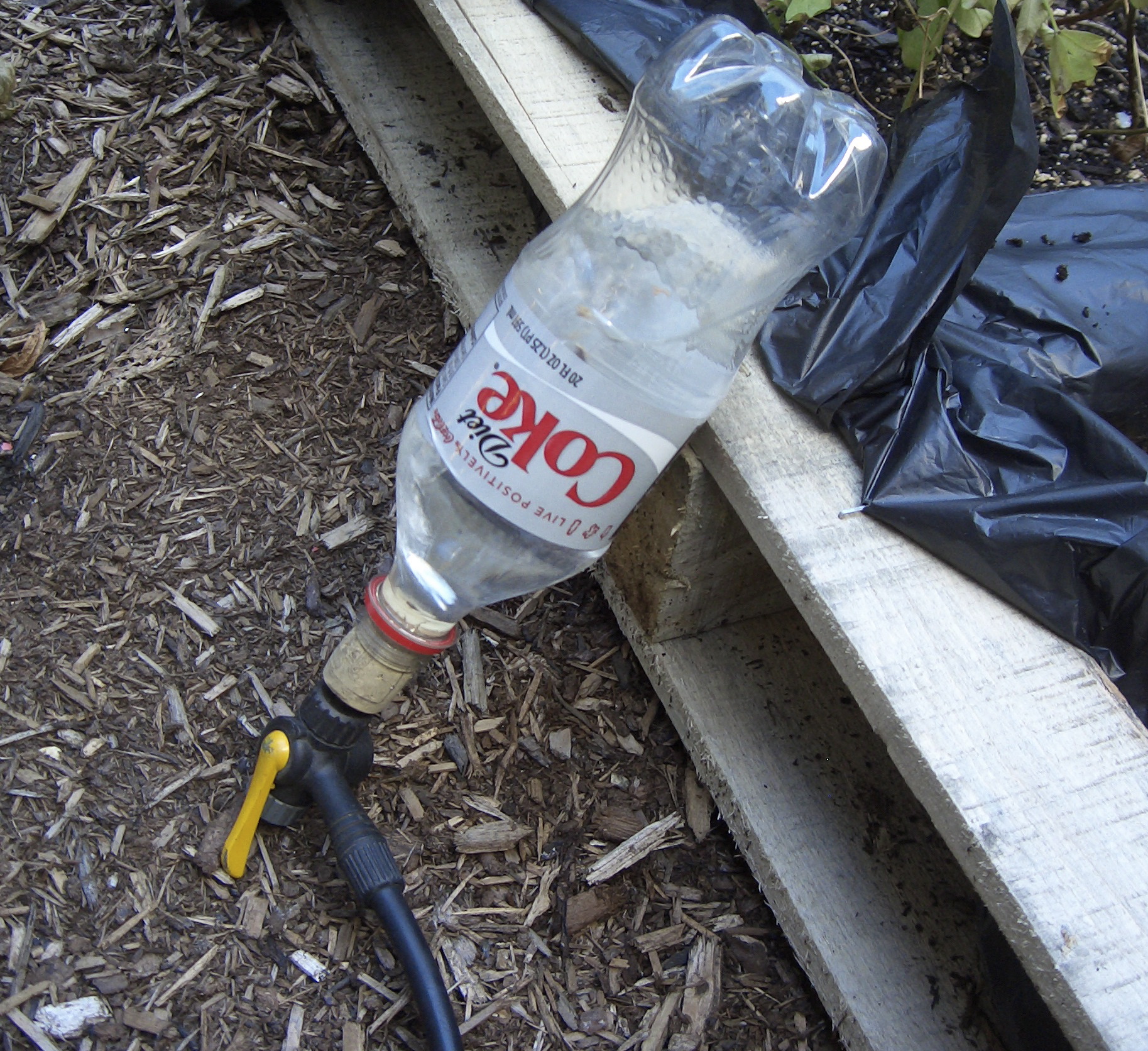 Water bottle rockets!