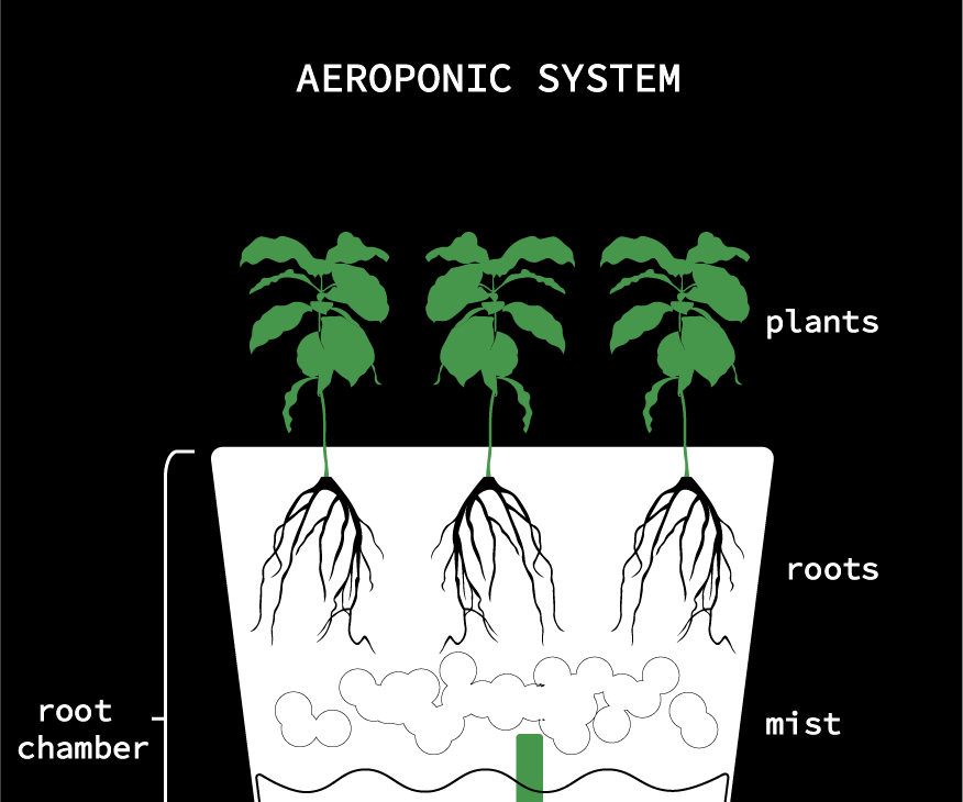 Bucket Aeroponic System