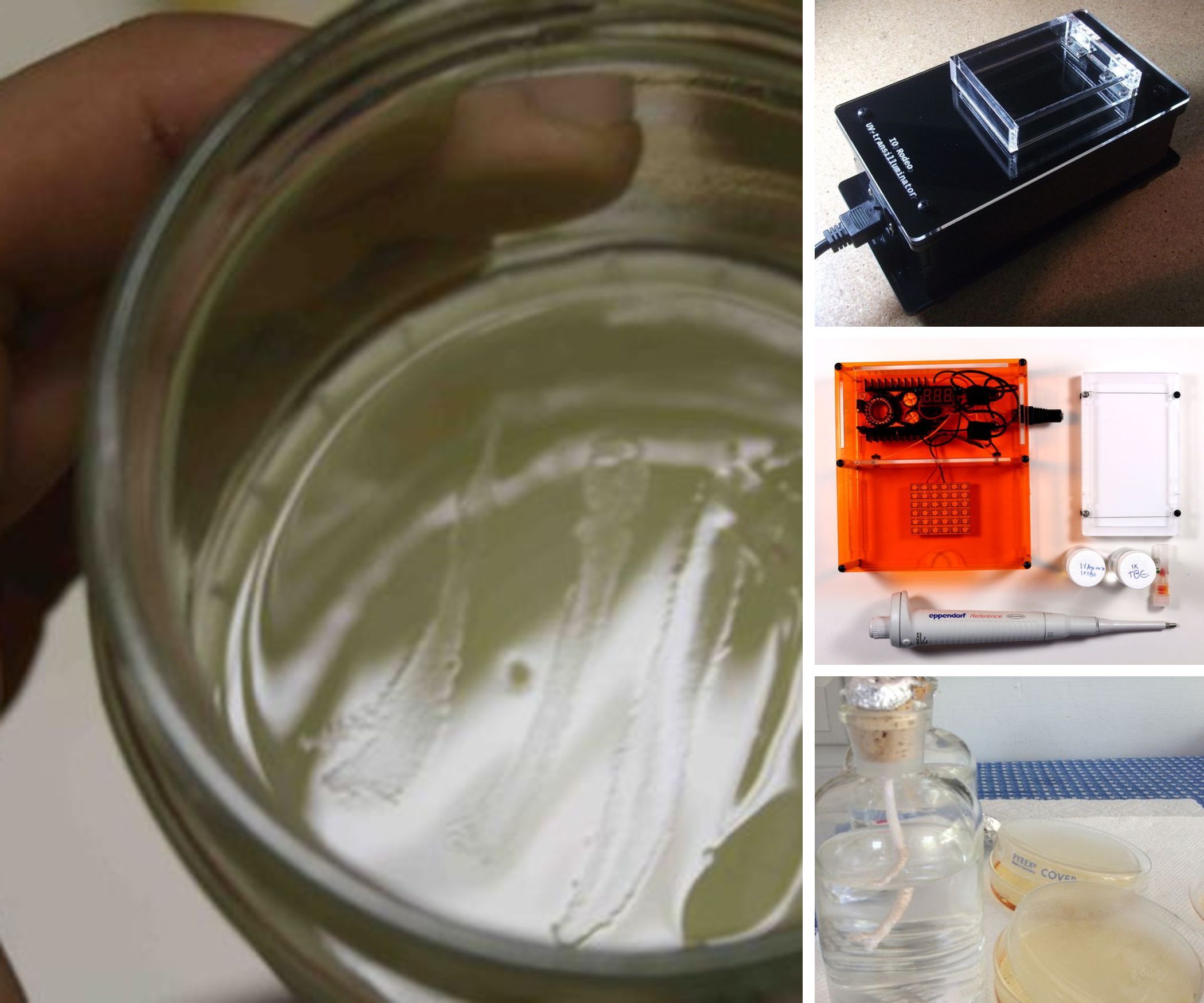DIY Sciences