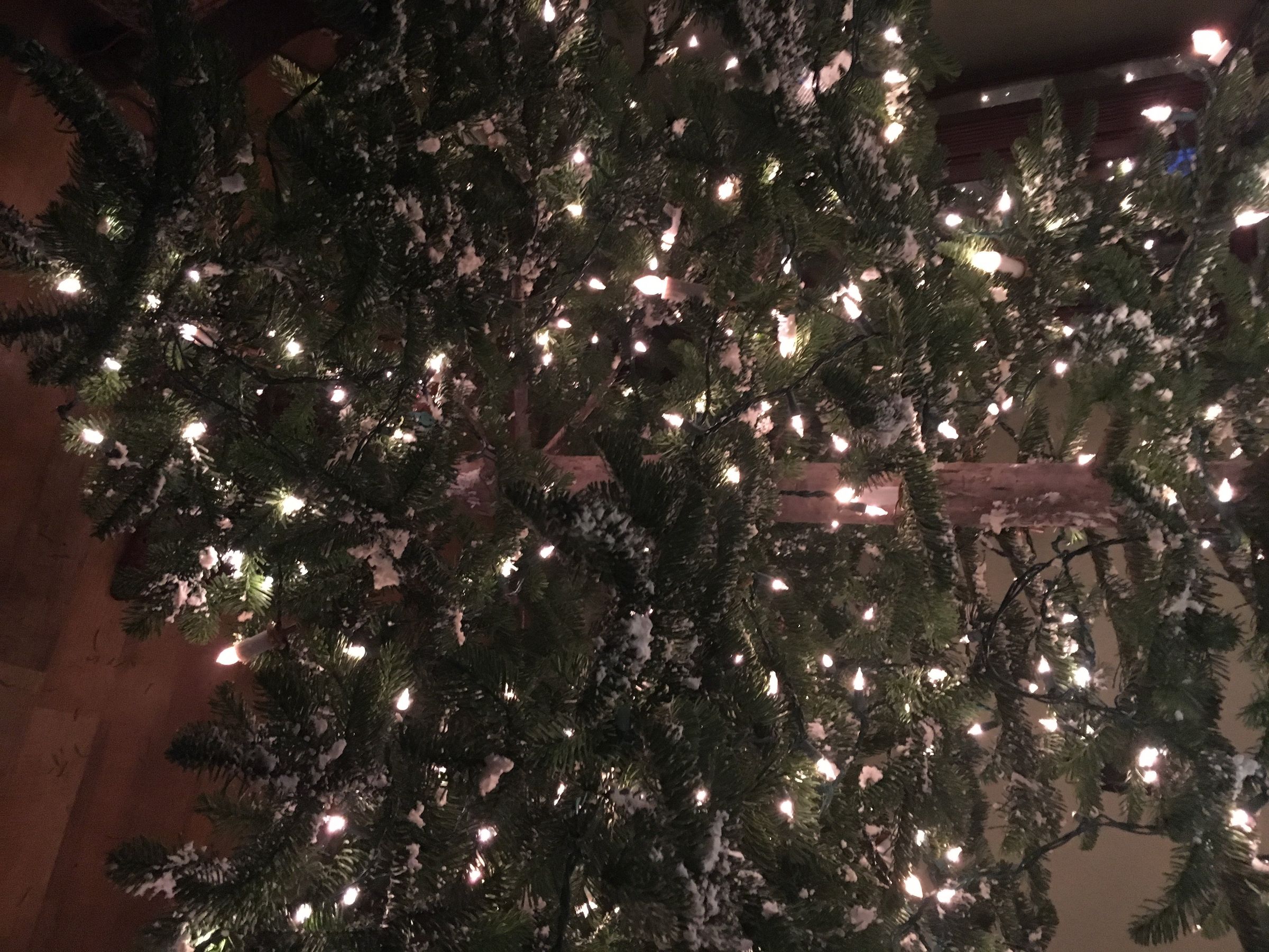 Snow Flocking Christmas Tree's 4 Steps (with Pictures) Instructables