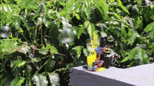 Using the Bubble Blower