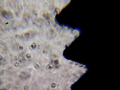 Place Samples and Shoot