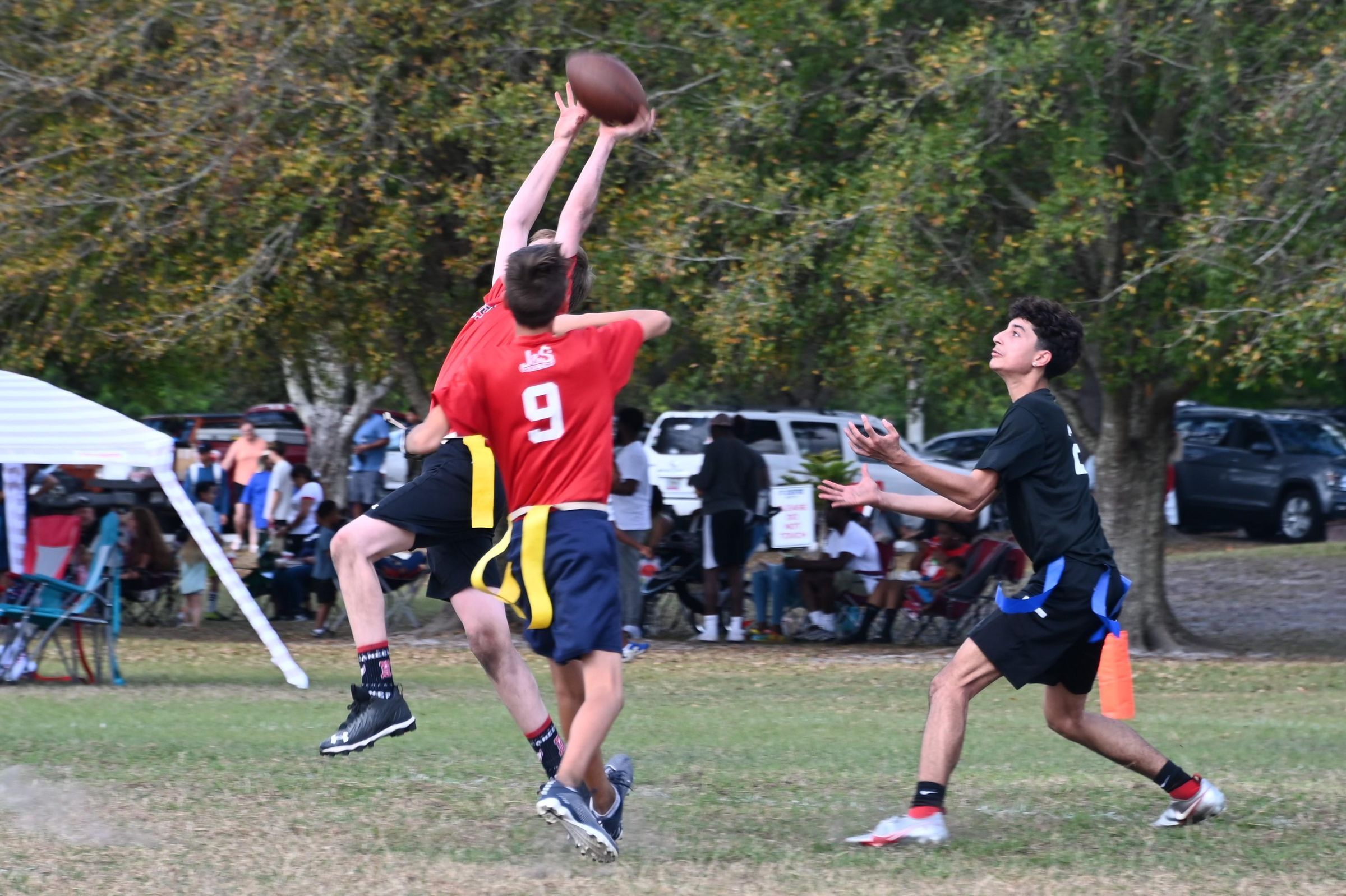 How to Digitize Slides and Film Negatives With a DSLR 12 Steps (with