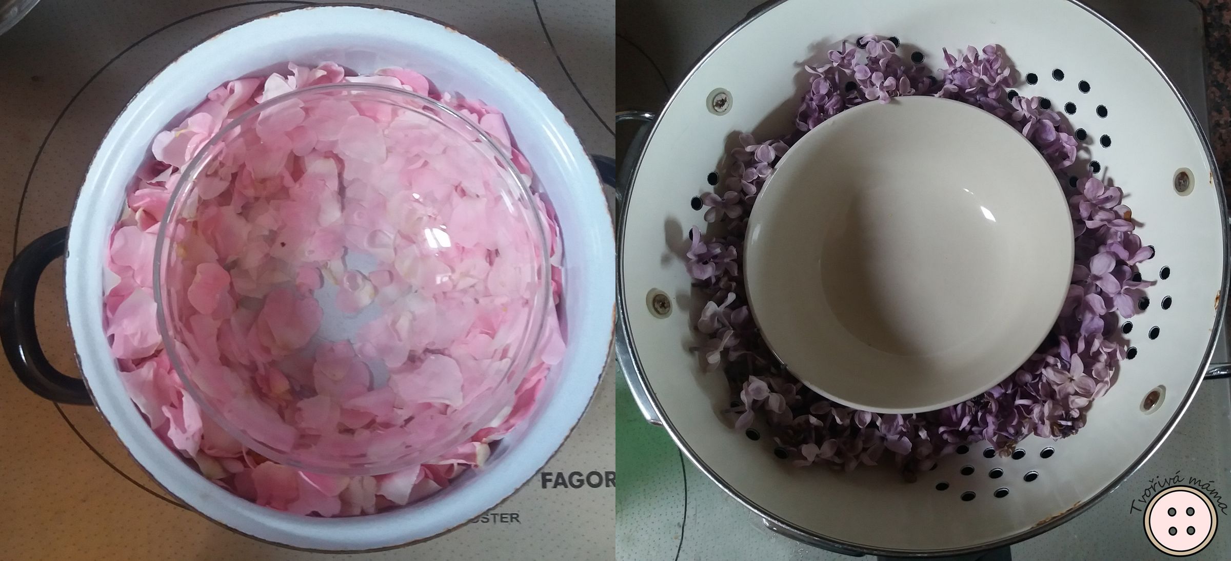 How to Make Flower Water at Home 3 Steps (with Pictures) Instructables