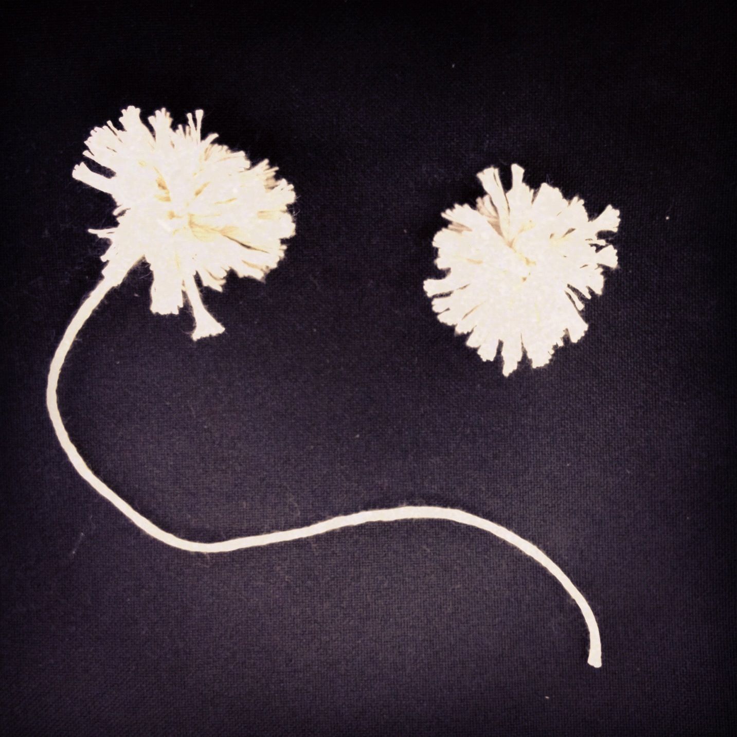 Quick and Easy Mini Pompoms