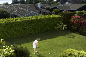 How to Created a Privacy Hedge
