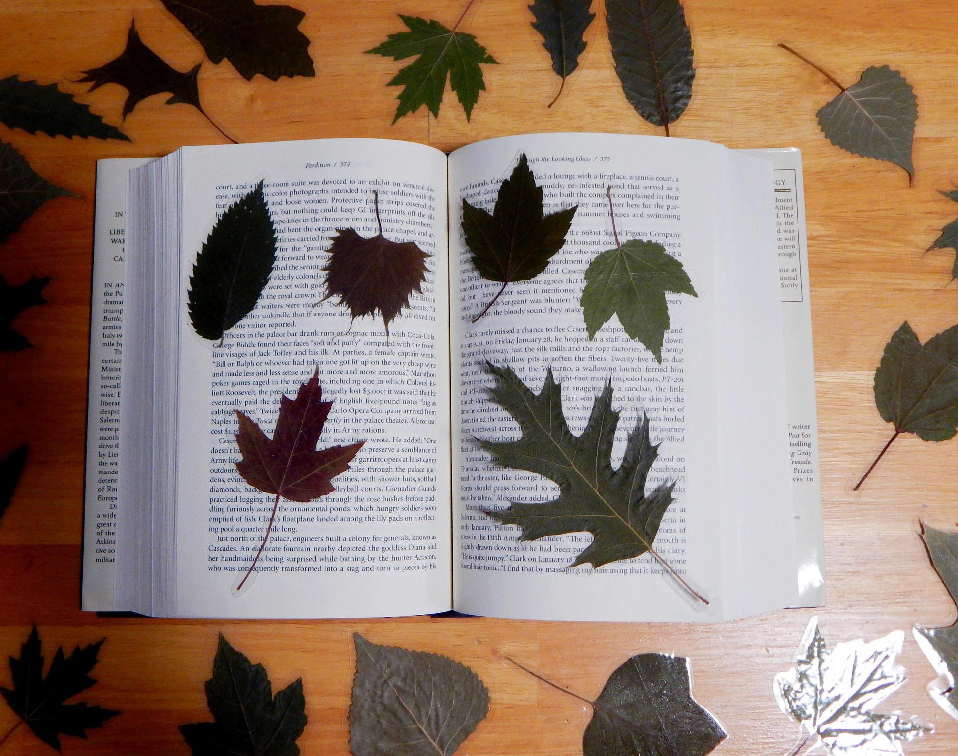DIY Laminated Leaf Bookmarks 4 Steps (with Pictures) Instructables