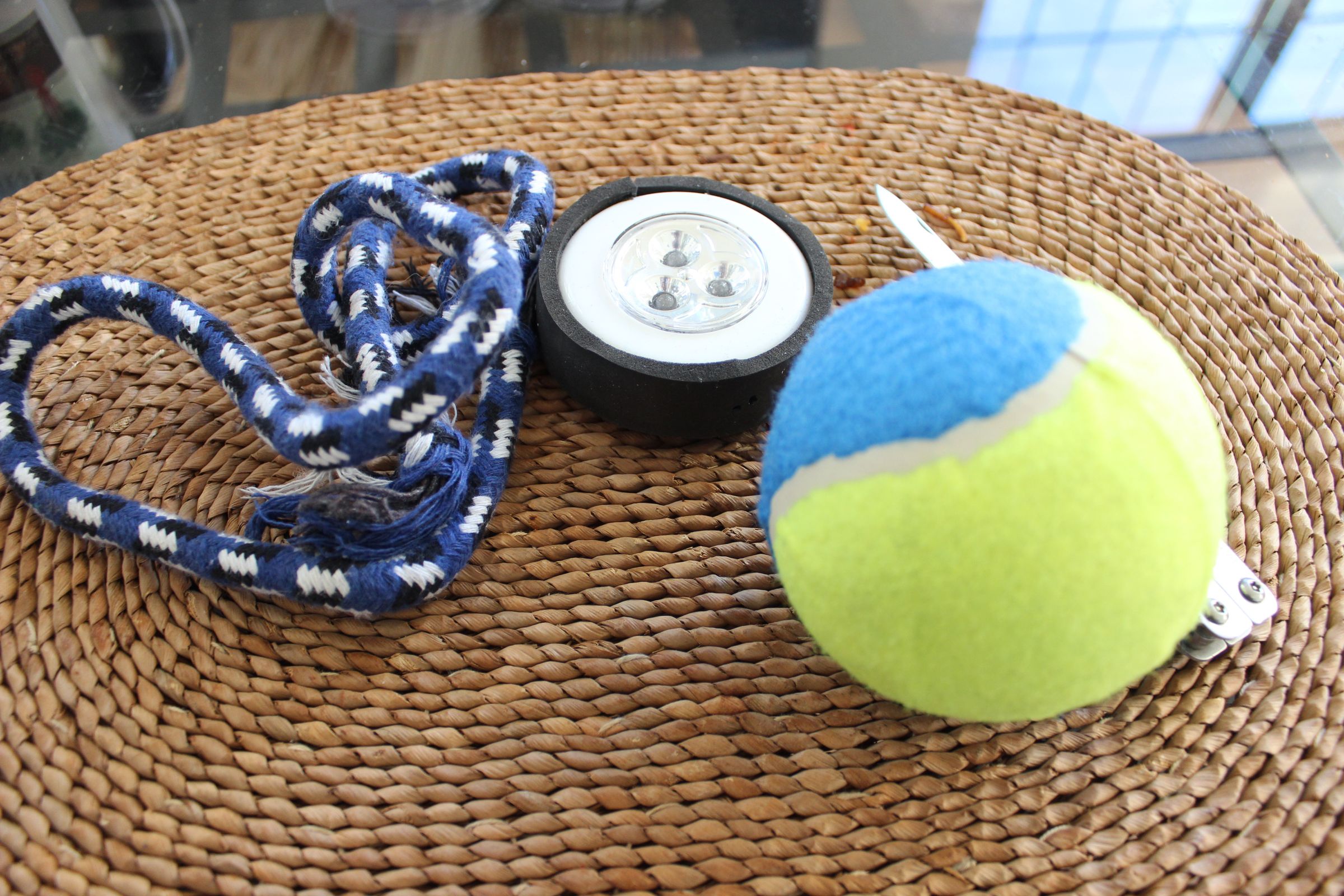 3 Light Up Dog Toy 6 Steps (with Pictures) Instructables